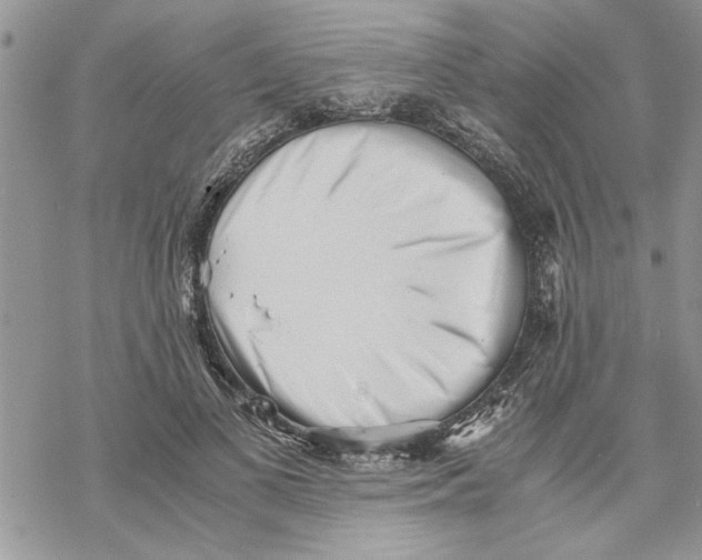 X0000069830693200606091446