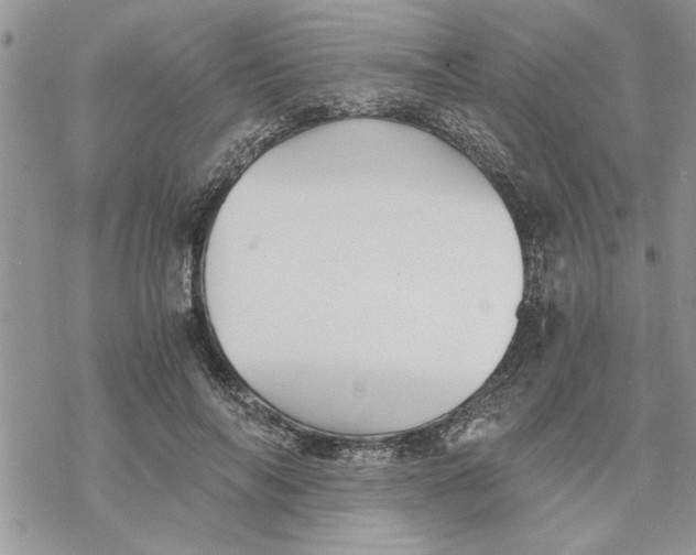 X0000069830694200606091446