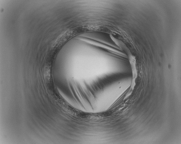 X0000069830697200606091446