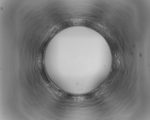 X0000069830698200606091446