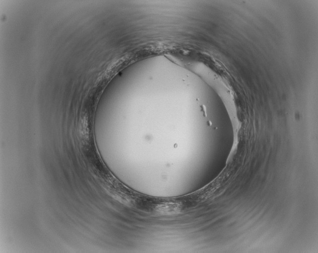 X0000069830700200606091446