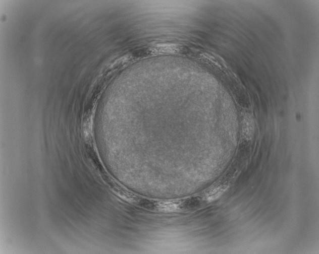 X0000069830701200606091446