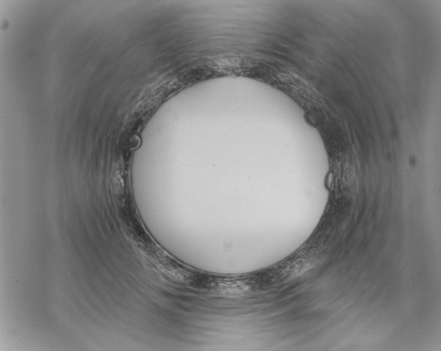 X0000069830702200606091446