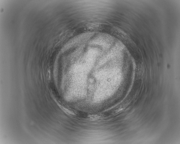 X0000069830703200606091446