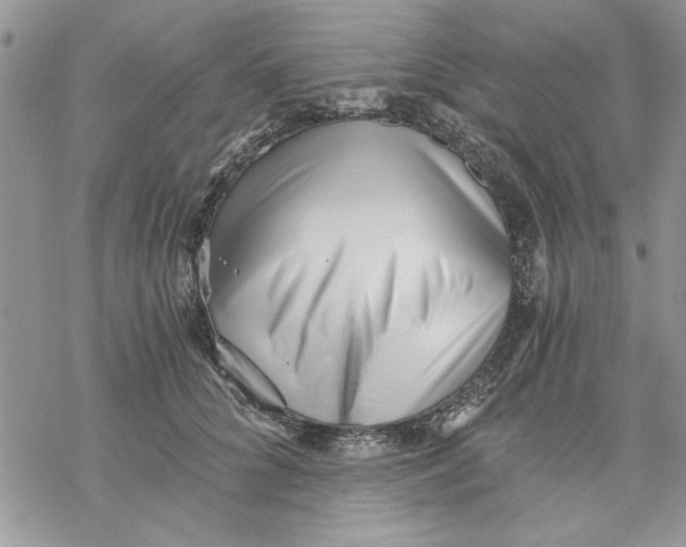 X0000069830704200606091446