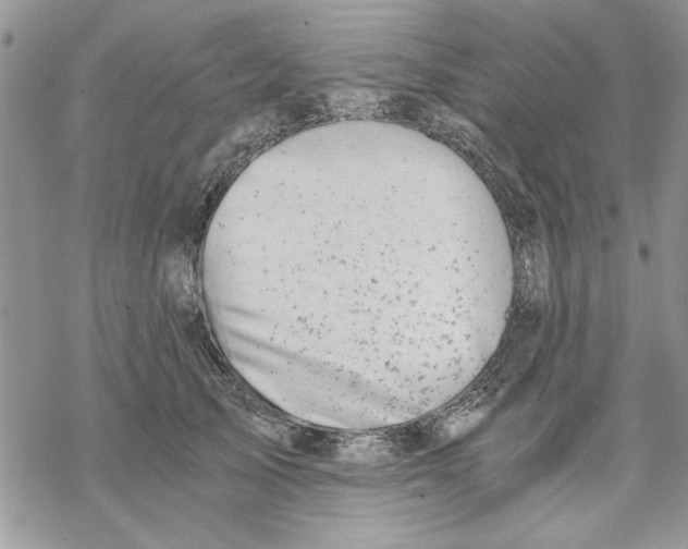 X0000069830705200606091446