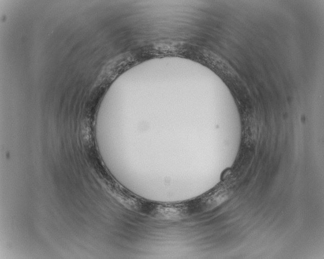 X0000069830706200606091446