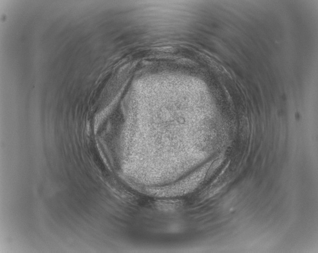 X0000069830707200606091446