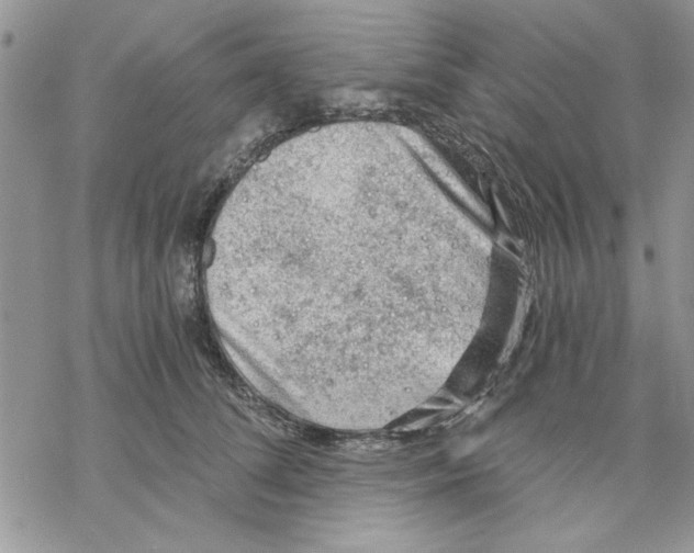 X0000069830708200606091446