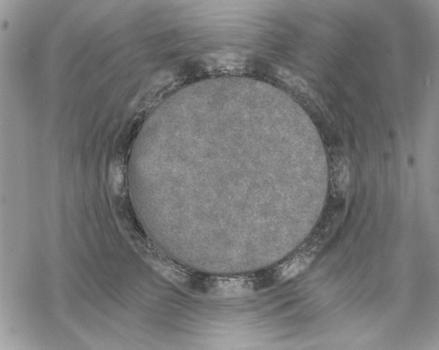 X0000069830709200606091446