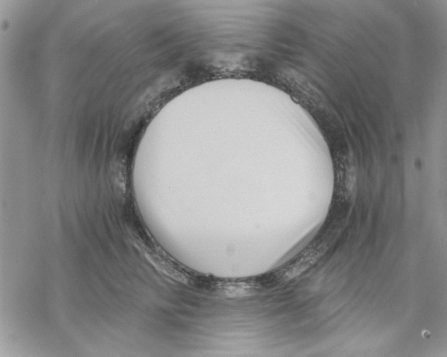 X0000069830710200606091446