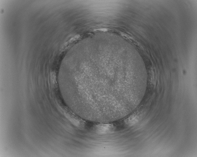 X0000069830711200606091446