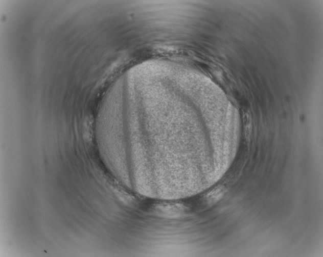 X0000069830712200606091446