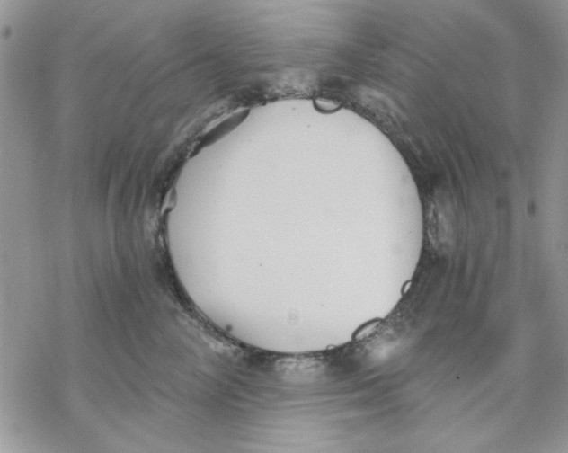 X0000069830714200606091446