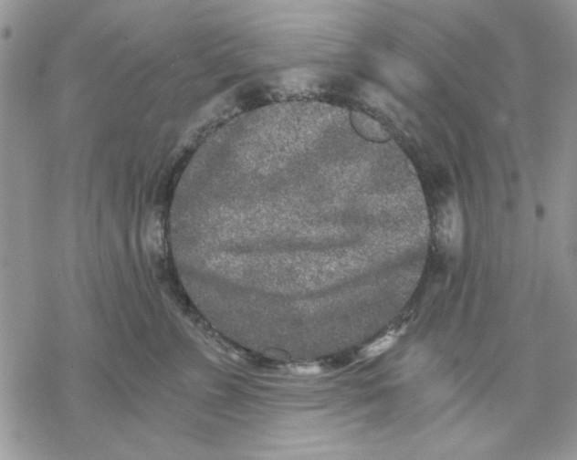 X0000069830715200606091446