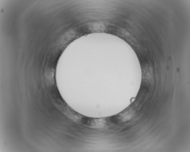 X0000069830717200606091446