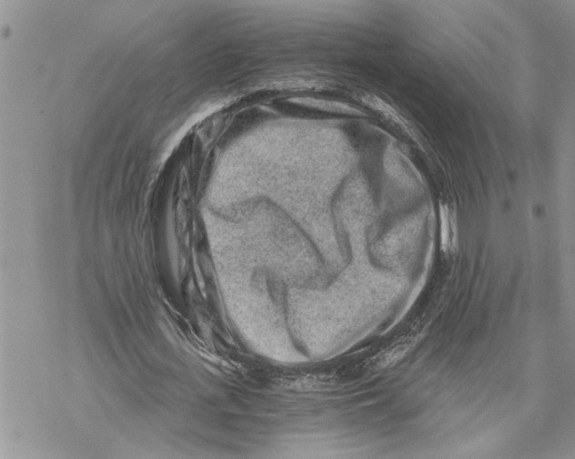 X0000069830723200606091445