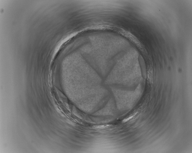 X0000069830724200606091445