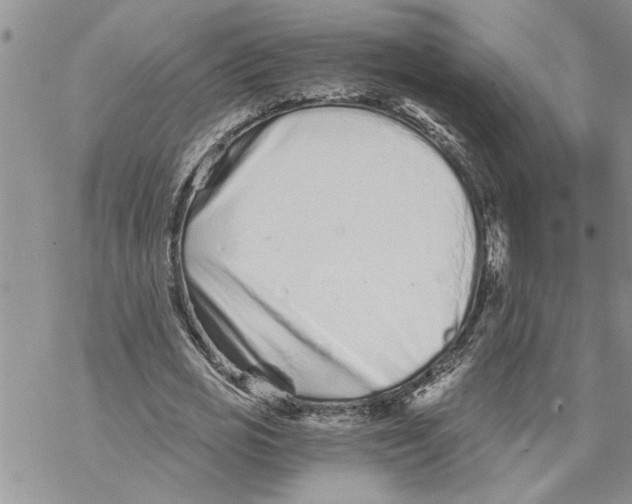 X0000069830725200606091445