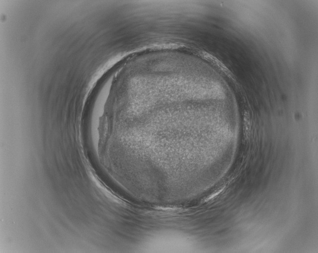 X0000069830726200606091445