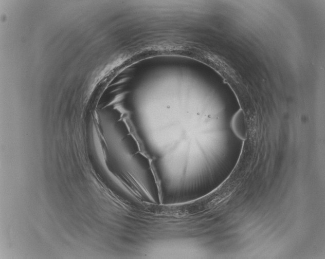 X0000069830727200606091445