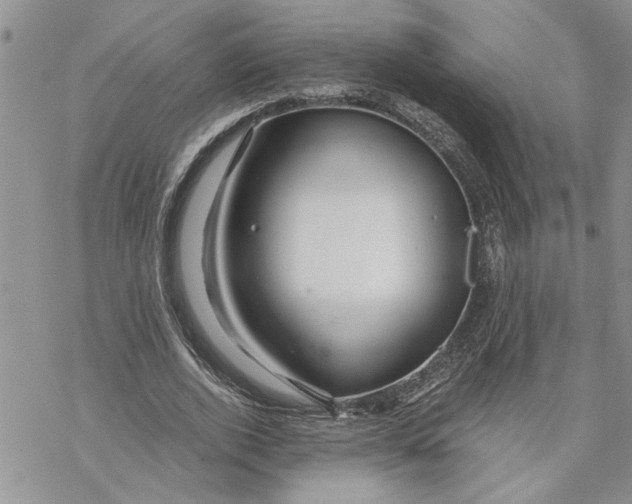 X0000069830728200606091445