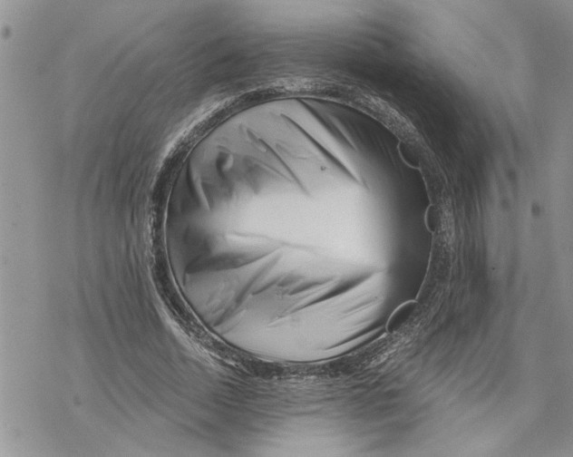 X0000069830730200606091445