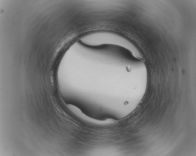 X0000069830731200606091445