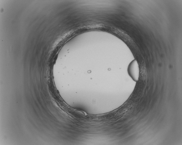 X0000069830732200606091445