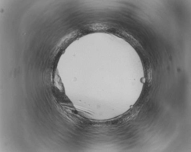 X0000069830733200606091445