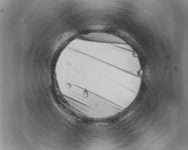 X0000069830734200606091445