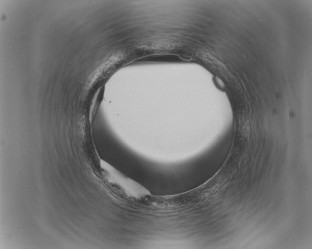 X0000069830735200606091445