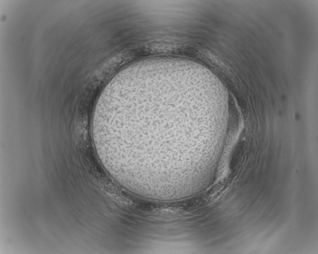 X0000069830737200606091445