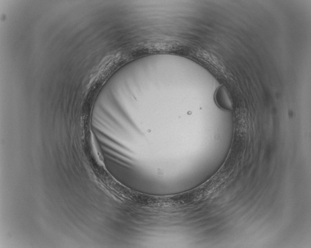 X0000069830738200606091445