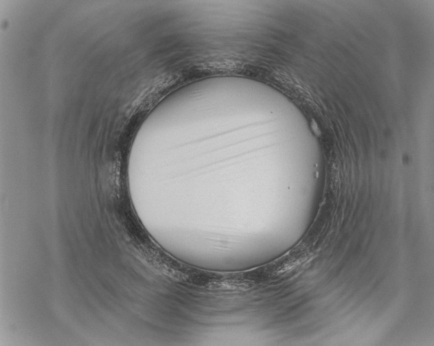 X0000069830739200606091445