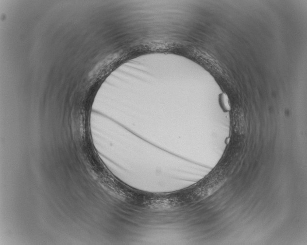 X0000069830740200606091445