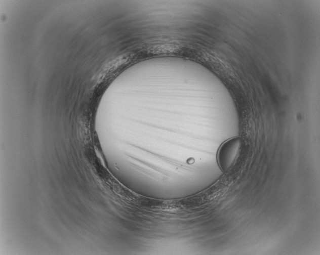 X0000069830743200606091445