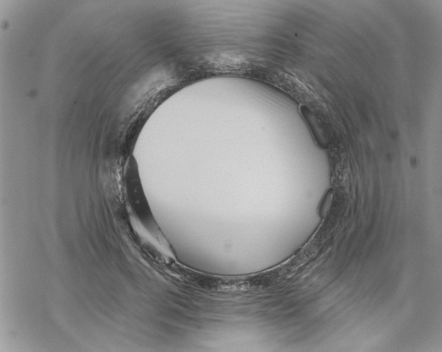 X0000069830744200606091445