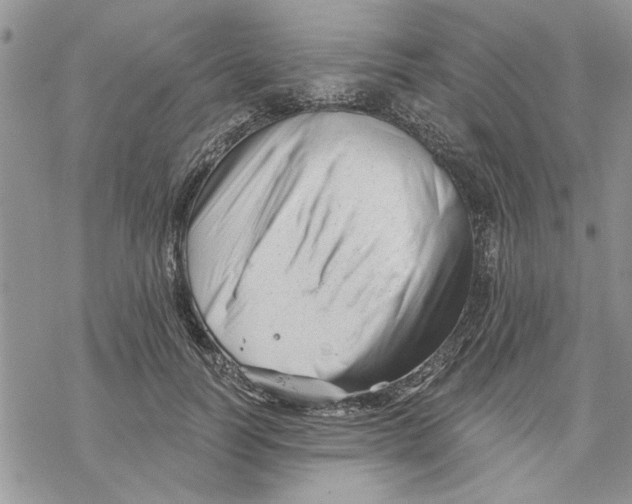 X0000069830746200606091445