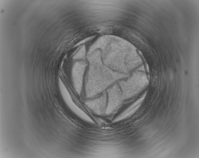 X0000069830748200606091445