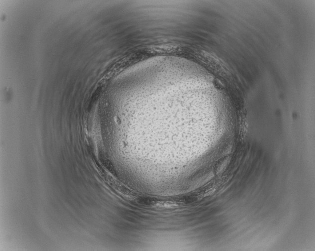 X0000069830749200606091445