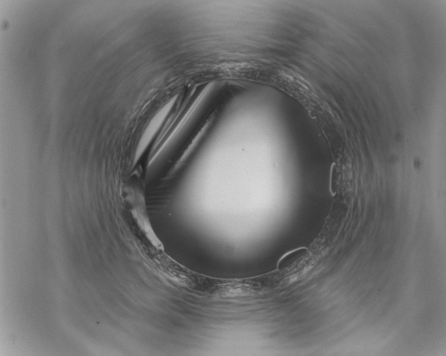 X0000069830750200606091445