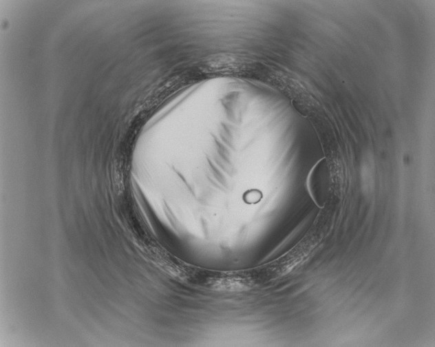 X0000069830751200606091445