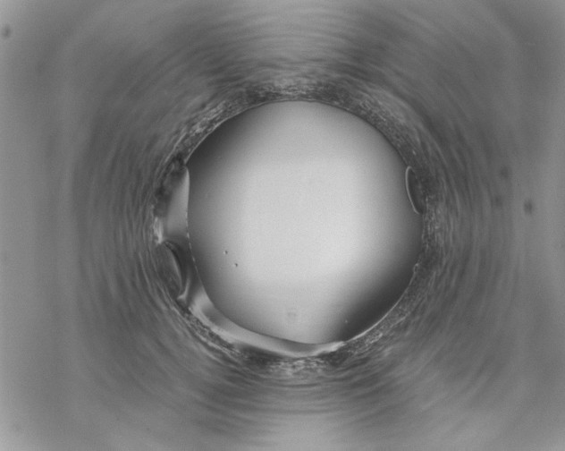 X0000069830752200606091445