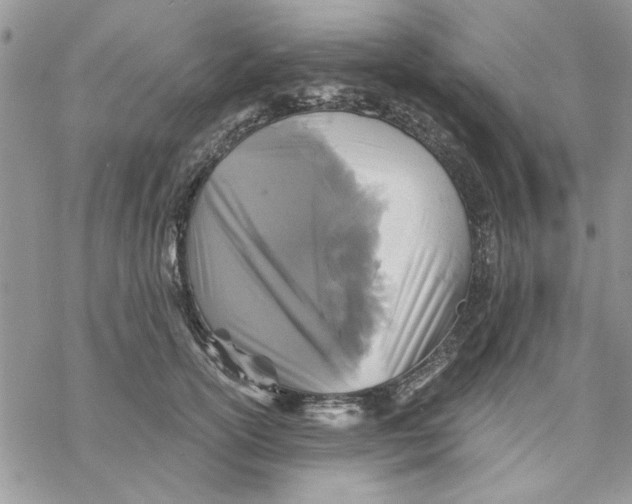 X0000069830754200606091445