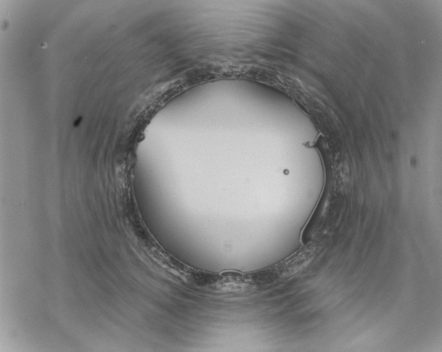 X0000069830756200606091445