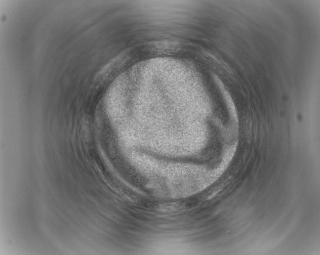 X0000069830757200606091445