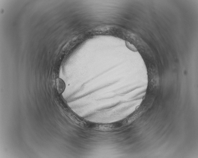 X0000069830758200606091445