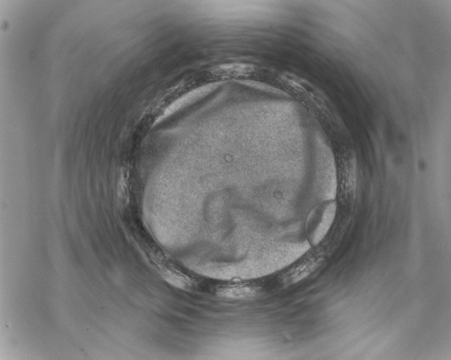 X0000069830759200606091445