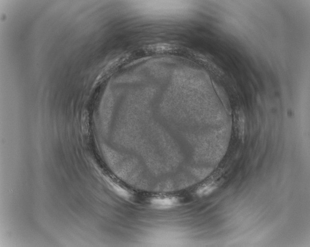 X0000069830760200606091445